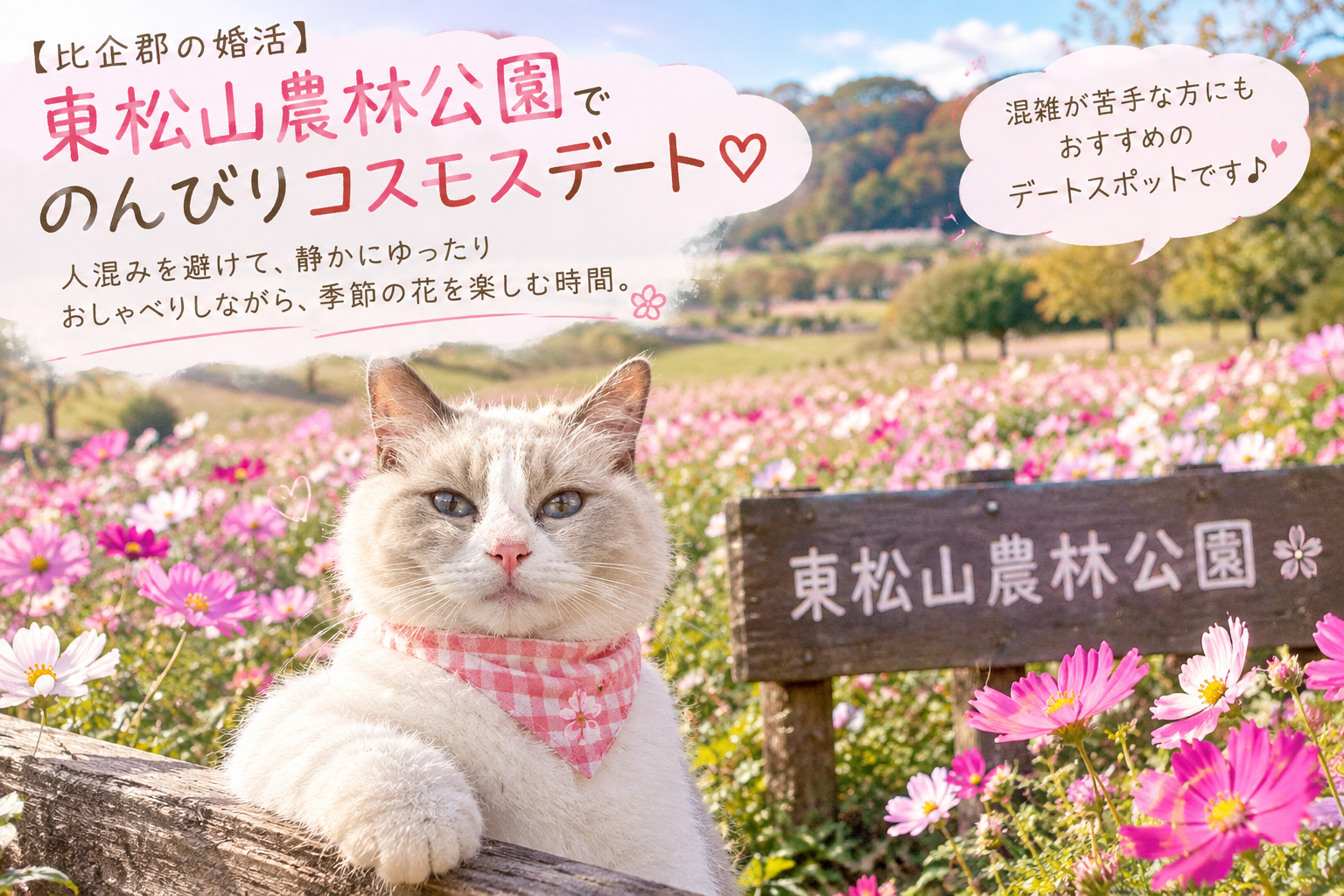 【比企郡の婚活】アプリを使うと近所や知人にバレる？安全・確実に理想のパートナーと出会う方法